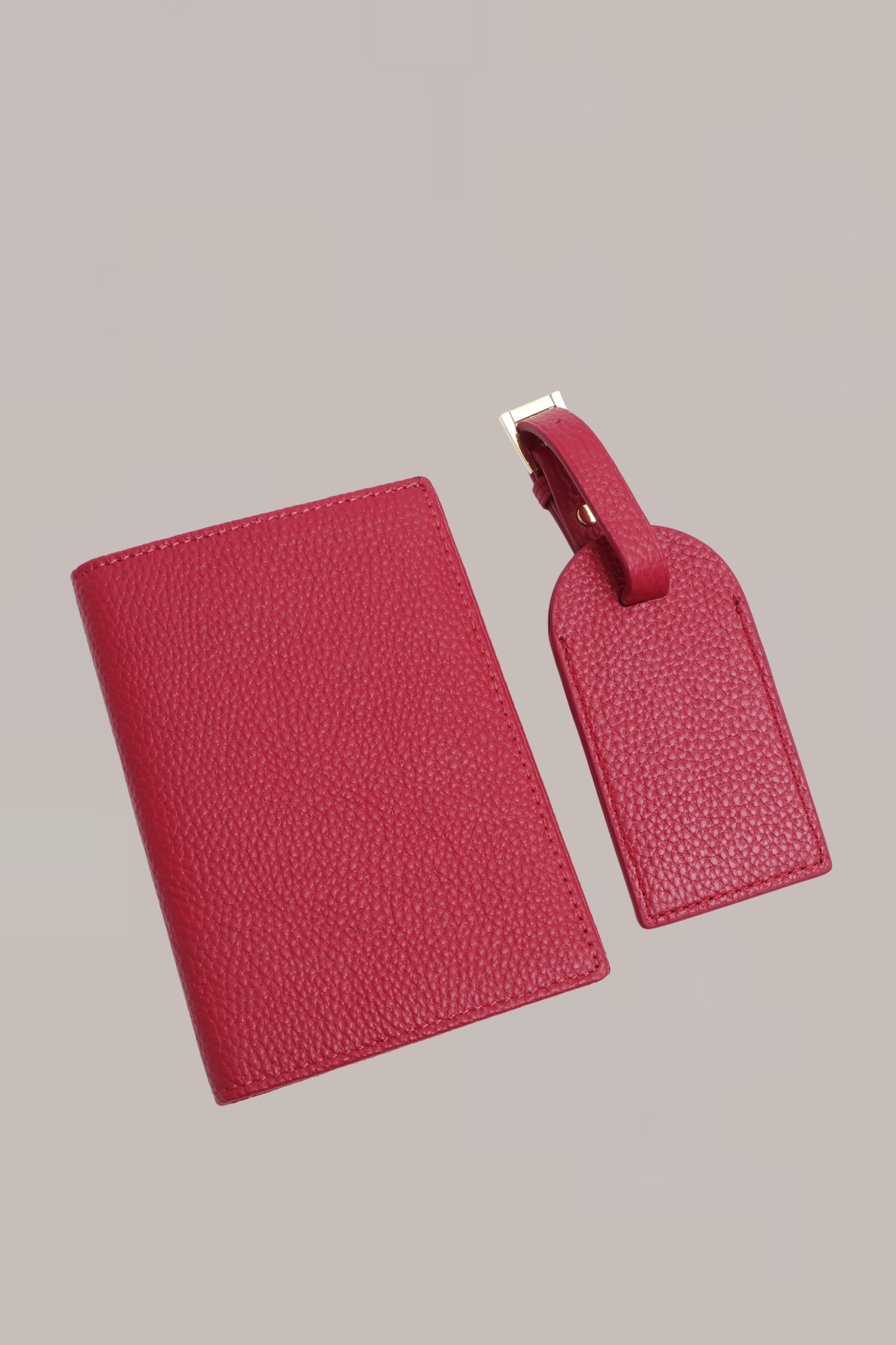 Passport Cover & Luggage Set