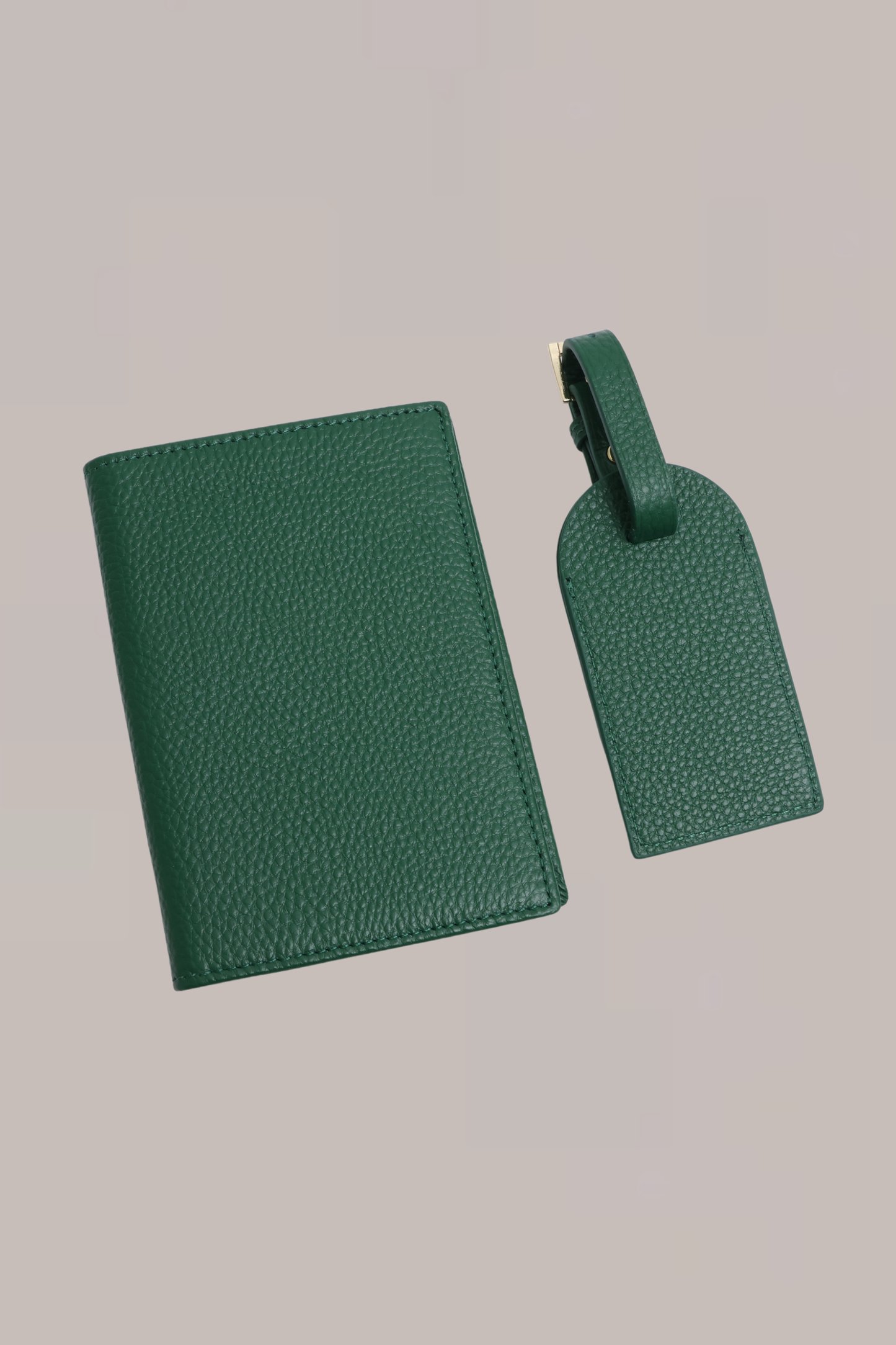 Passport Cover & Luggage Set